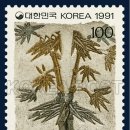 영종하늘도시3호 공원 이미지