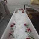 제일효요양병원 이미지