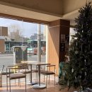 바다파파 | 의정부 로데오거리 카페 푸르파파 메뉴 , 영업시간 방문후기