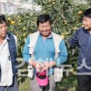 조영환농장 이미지