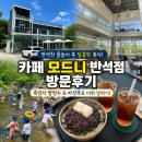 반석천 | 대전 반석동 대형카페 모드니 아기랑 흑임자 팥빙수 후기