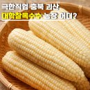 두천농장 | 극한직업 괴산 대학찰옥수수 농장 어디? 충북 괴산 찰옥수수 택배주문방법·판매처·가격
