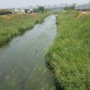 대장천생태하천 이미지