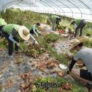 남양주유통 이미지