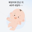 미즈웰산부인과