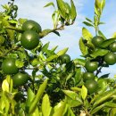 풍경농장 이미지