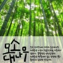 모소 - 송파구 | 모소
