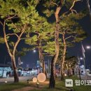 반야월삼거리 이미지