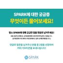 소파앤스파크