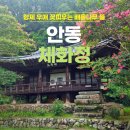 고요한꽃뜰 | 경북 안동 체화정, 배롱꽃 만개한 연못가에서 보낸 오후