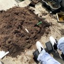 로이병원 이미지