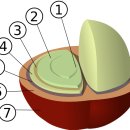 체리콩커피 이미지