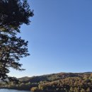 마장공원 | [루아리아 여행] 자연속에서 즐기는 스릴, 파주 마장호수공원 출렁다리 방문 후기