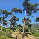 수지면 마륜마을 이미지