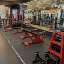 H휘트니스 이미지