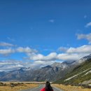 사체농장 | 뉴질랜드 남섬 신혼여행 타즈먼 빙하 전망대 테카포 호수 코한 레스토랑