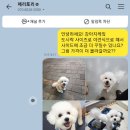 페리토리 티스토리