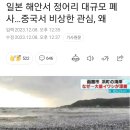 일본 해안서 정어리 대규모 폐사 이미지