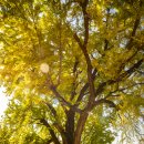 활성동 밀양시국궁장 이미지