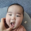 재롱이유치원 이미지