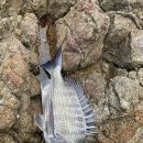 도원관광펜션 이미지