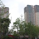 시범대원칸타빌공인중개사사무소 이미지