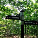 충북알프스자연휴양림 이미지