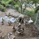 나들펜션 | 창원 카라반 마산펜션 더숨포레스트에서 즐긴 감성캠핑