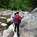 꿈꾸는유배지늡다리 이미지