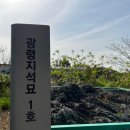 광령지석묘 2호 이미지