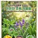 초록미술교습소 - 미추홀구 낙섬중로 4 | 초록미술교습소