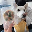 꼬순내상점카페푸우 이미지