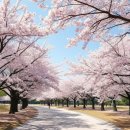 한산 | 고성 한산 마리나 리조트 고성 | 후기, 가격, 예약 꿀팁 완벽 정리