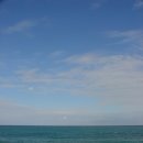 동해바다 이미지