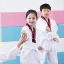 동아대 수월태권도 이미지