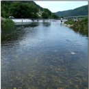 청도매운탕 이미지