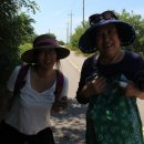 NR-34[서해로]-하-74 | 대부해솔길 7코스(탄도정류장 - 대부도관관광안내소)16.8km.마지막