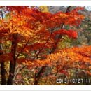 백봉령농장 이미지