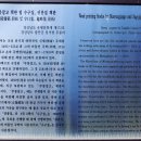 무릉잡고 및 수구집 귀봉집 책판 이미지