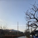 관악산 등산 후 이색 밥집 추천! 서울대 학식(서울대기숙사 919동 식당 맛집) 먹어본 솔직 후기