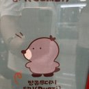 두더지레코드 이미지
