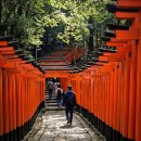 여명약국 | 일본 여행 필수 준비물 리스트 정리하고 느낀 점들