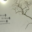 수아로피부과의원 이미지