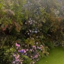 경기도 수원시 팔달구 경수대로 | 스드메투어 워크인 결혼준비 수원 가우디웨딩 엔조드레스홀딩 상담후기 계약O