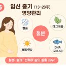 장기보룡약국 네이버블로그