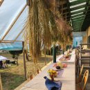 의곡초 우라분교 이미지