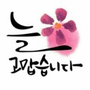 연참초