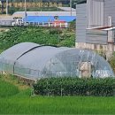 주생면 영촌마을 이미지