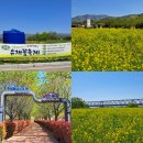 고고장구(트롯장구) | 제2회 김해 유채꽃 축제 정보 및 낙동강 레일파크 방문 후기