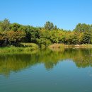 서울숲10 이미지